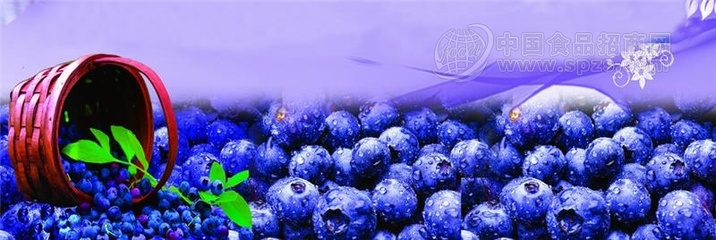 蓝莓果酒