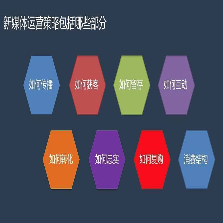 传播易 新媒体营销与网络推广的互动运营之道